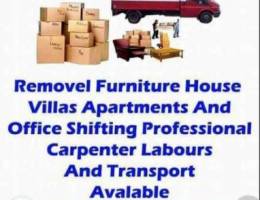 Bahrain Furniture Shifting Fixing Carpente...