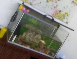 Aquarium with gold fish and free stones an...