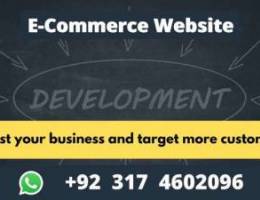 Professional E-Commerce Website developmen...