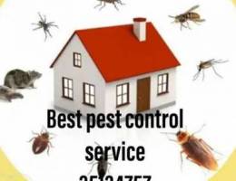 Home pest control service available