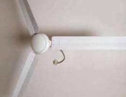 Celling fan Ù…Ø±Ø§ÙˆØ­ Ø³Ù‚ÙÙŠØ©