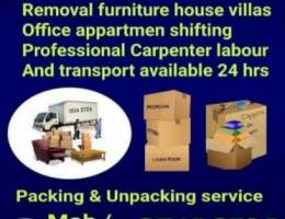 Professional Carpenter House Shifting Furn...