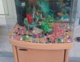 Aquarium tank for sale