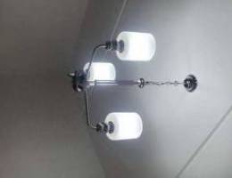 Ceiling light chandelier hanging light pen...