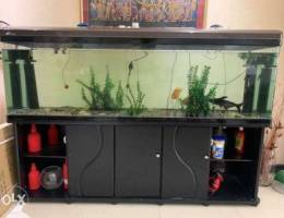 Fish tank for sale