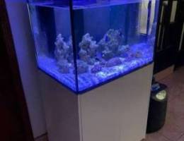 marine aquarium full set