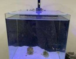 Nano marine aquarium