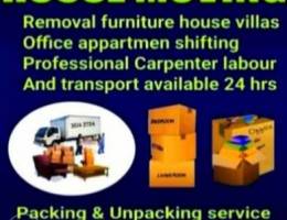 Professional mover packer service