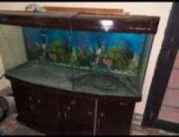 Fish tank Ø­ÙˆØ¶ Ø³Ù…Ùƒ Ø¬Ù…ÙŠÙ„