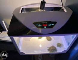 Red eared sliders with turtles tank, UV li...