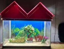 Aquarium for sale with all accessories