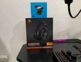 Cougar Gaming Headset and Rapoo HD Camera ...