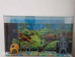 Aquarium for sale