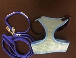 Cat Harness & Leash