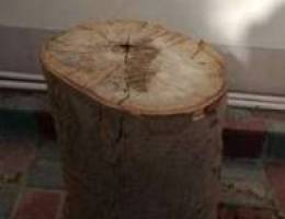 Tree trunk for sale