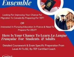 French tutoring / coaching