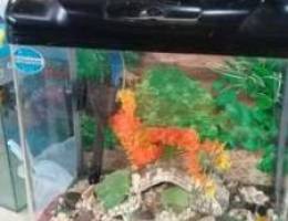 Aquarium tank for sale