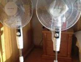 Optima- Floor Fan (2 Nos)