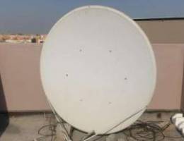 Dish 10 feet