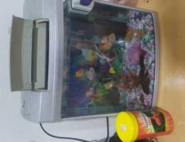 Fish tank with light for sell, with 8 gold...