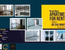 Apartment for rent