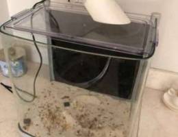 aquarium for sale