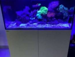 Fish tank Red Sea reefer xl 425