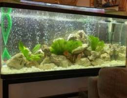 tank forsale including stone light filter ...