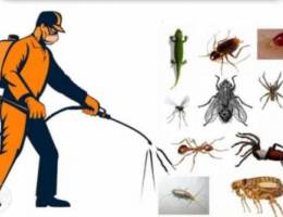 Pest control service six month gurantee