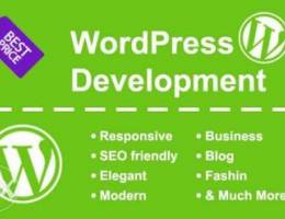 I will develop responsive wordpress websit...