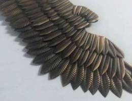 Wings-wall decor