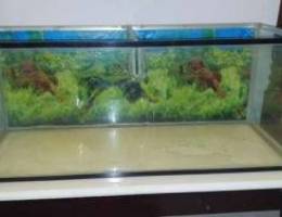 Used Aquarium