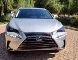 2019 Lexus NX 300