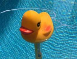 Pool Thermometer