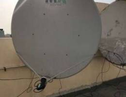 Dish for Sale