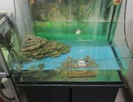 Fish and turtles tank /aquarium tank