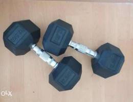 Dumbells 12.5kg x2