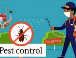 Pest control service specialist Cocrouch &...