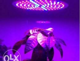 Custom made Grow LED Light for Indoor Plan...