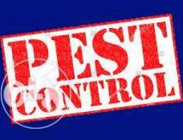 MR.Pest control Services With Gurantee Ù…ÙƒØ§...