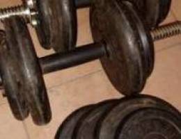 ___25kg__Dumbbells___