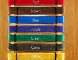 Taekwondo / martial Art Belts Available ( ...