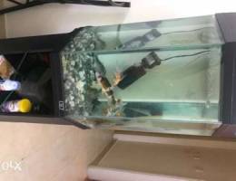 Fish tank for sale