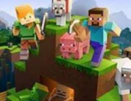 Looking for minecraft for ps4