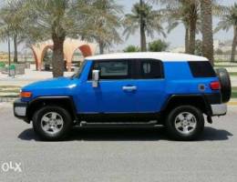 FJ Cruiser clean conditions