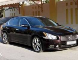 Nissan Maxima 2010