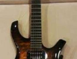 Parker Dragonfly PDF100 Electric Guitar