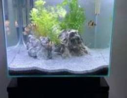 newa tank( fresh and salt water ) with fre...