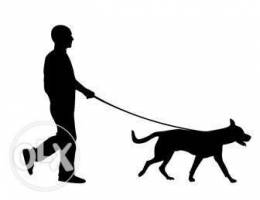 Dog walking