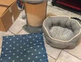 cat bed and scratcher